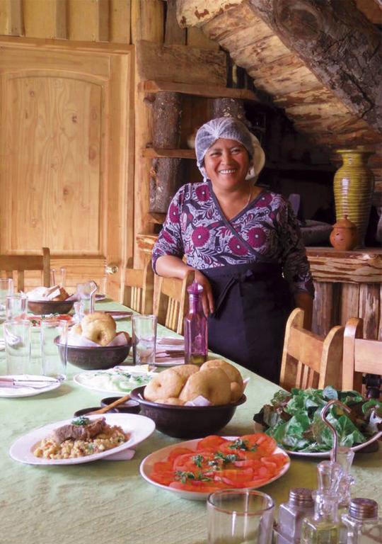 Hospedaje Y Agrocamping Relmucura Melipeuco Extérieur photo